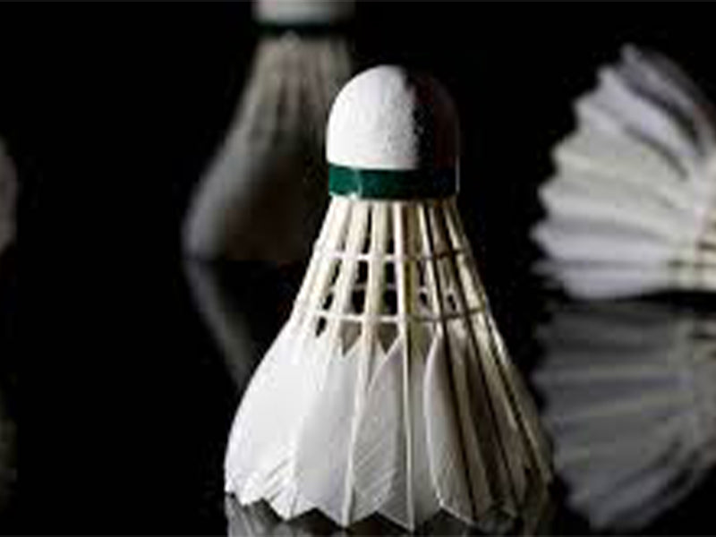 Shuttle Cock Racquet Badminton Shuttlecocks | Pro Racquets